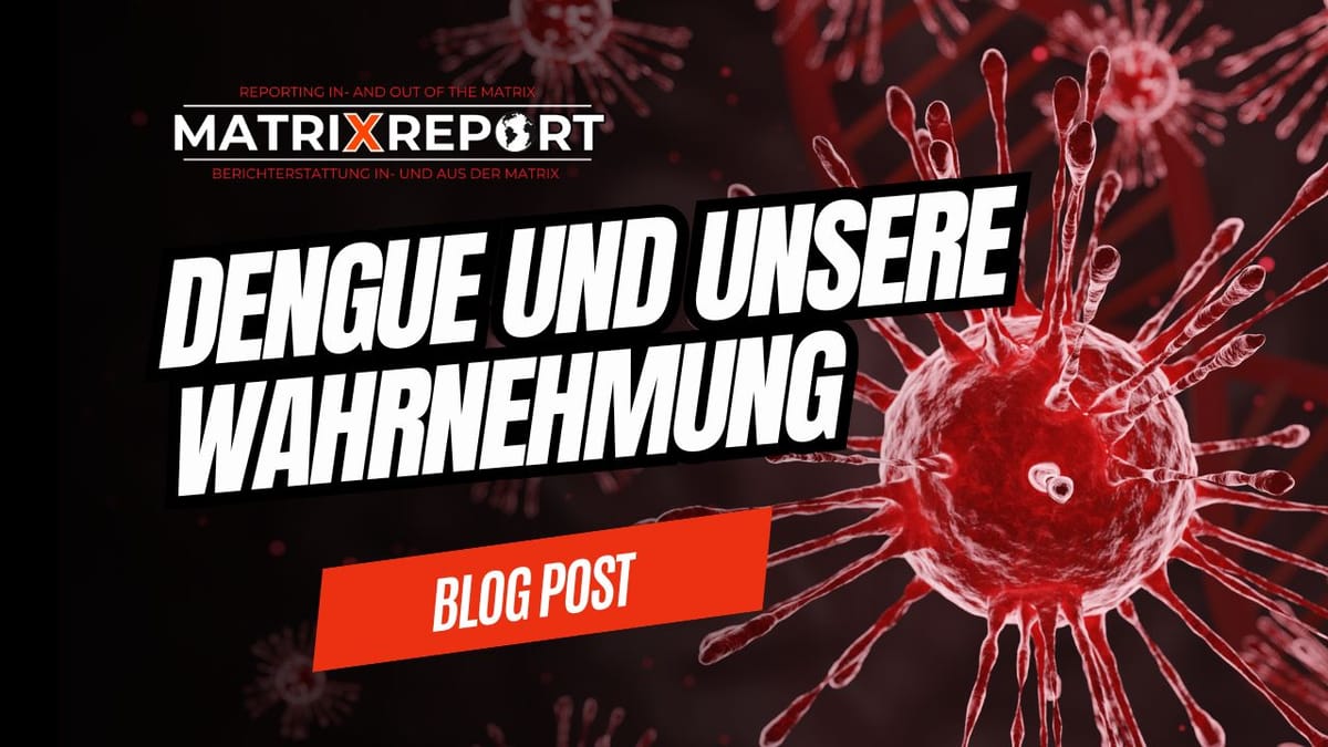 🔑Dengue und unsere Wahrnehmung Post feature image
