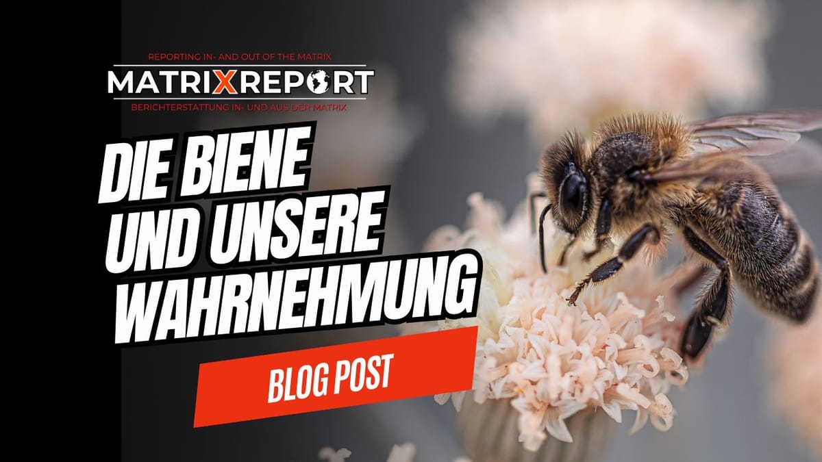 Wie wir die Gesetzmäßigkeiten der Realität außer Kraft setzen! Post feature image