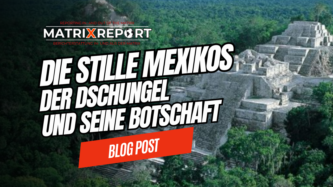 🔑Die Stille Mexikos - Der Dschungel und seine Botschaft Post feature image