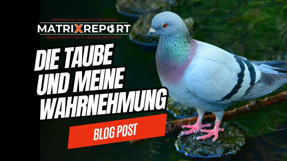 Wie wir das Leben mit unserer Wahrnehmung unterstützen können! Post feature image